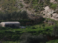 Nuit Blanche 2020 à la Villa Vassilieff