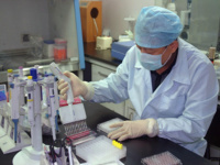 Covid-19 : Joe Biden met en place une cellule de crise et un groupe de recherche dès lundi