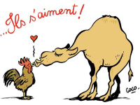 Exposition BNF gratuite, exposition Dessin de presse, exposition France-Algérie, Coco, Ils s’aiment, 2011 © Coco