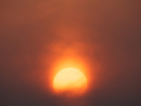 exposition Ahae Jardin des Tuileries, Ahae Jardin des Tuileries 2012, exposition Ahae Paris 2012, exhibition Ahae Paris 2012, exposition Jardin des Tuileries été 2012, Ahae Paris 2012 | ©AHAE press