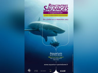 exposition Rencontres sauvages Aquarium Porte dorée,