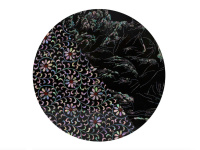 Najeon, l'exposition gratuite qui met en avant l'art de la nacre au Centre culturel coréen 