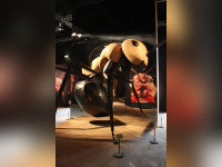 Mille milliards de fourmis, l'exposition au Palais de la Découverte