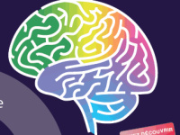 La Semaine du Cerveau 2014