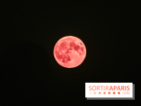 Qu'est-ce que cette micro pleine lune rose, visible dans la nuit du 12 au 13 avril 2025 ? 