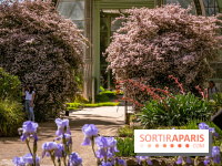 10 parcs et jardins à Paris et en Île-de-France à découvrir absolument en mai 2025 - jardin des plantes
