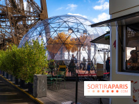 Bulle d'automne de la tour Eiffel : arbre géant et jeu grandeur nature au sommet de Paris