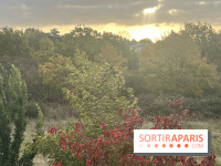 Tempête Benjamin : parcs et jardins fermés en Île-de-France