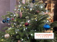 Le Marché de Noël de Thoiry 2025 - 78