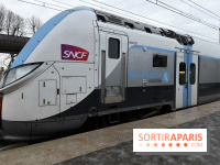 Tempête Goretti : la circulation des transiliens coupée à Saint-Lazaree