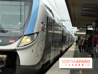 Transports à Paris et en Ile-de-France : les perturbations RER, métro du 26 janvier au 1er février