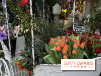 La foire aux Plantes de Crèvecœur-En-Brie 2026 (77)