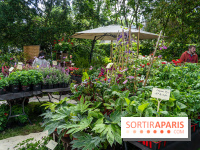 Seine-et-Marne : La Foire aux Plantes à Larchant 2026 : marché, troc et animations - 77