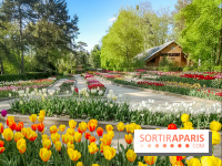 Le Parc Floral de Paris Vincennes, tulipes