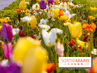 Où voir des tulipes à Paris ? 