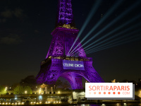 Céline Dion en concert à Paris La Défense Arena : dates, prévente... tout ce qu'il faut savoir