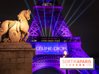 Concert de Céline Dion : 9 millions de pré-inscriptions, un record !