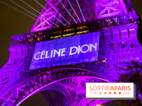 Céline Dion en concert à Paris, pourquoi la jaune est réduite ? 