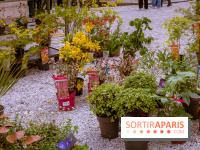 Jardins en fête à Auvers 91