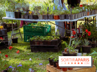 Les Naturiales 2026 à Fontainebleau : marché de plantes et animations nature en Seine-et-Marne