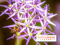 La Fête de la Nature et du bien-être animal vous attend ce samedi en Val-de-Marne