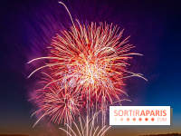 Seine-et-Marne, les feux d'artifice du 14 juillet interdits dans les zones sensibles