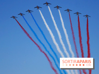 Patrouille de France et défilé aérien, les meilleurs spots pour bien les voir ce 14 juillet