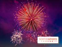 Après l'Essonne, les Yvelines, le Val d'Oise et la Seine-et-Marne interdisent les feux d'artifice