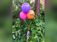 La Grande Chasse aux Expos de Paris au Parc André Citroën