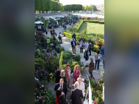 Jardins, jardin 2015 aux Tuileries 