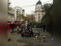 Marché de Noël 2016 à Grand Verger