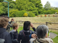 Les Rando'durables 2018