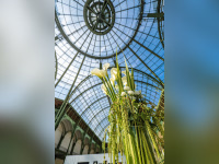 SEASONS : première édition au Grand Palais à Paris le 26 mai 2018