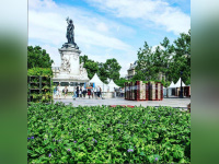 BiodiversiTerre, la place de la République se végétalise !