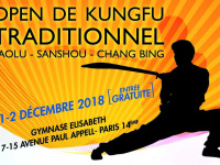 Open de Kung Fu traditionnel à Paris