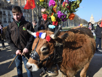 Une transhumance dans Paris pour le Salon de l'Agriculture 2019