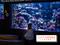 L'Aquarium Tropical de la Porte Dorée se renouvelle 