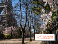 Que faire ce week-end à Paris et en Île-de-France, ces 11, 12 et 13 mars 2022