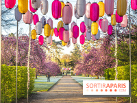 Hanami au Parc de Sceaux 2022, la fête des cerisiers en fleurs