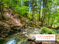 Les Nuits des Forêts 2022, redécouvrez vos forêts !