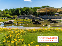 Le Parc Floral, un magnifique écrin de verdure à Paris