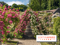 Les plus belles roseraies à Paris et en Île-de-France