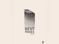 best fishes à la cartonnerie
