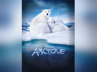 Week-end Arctique à la Géode