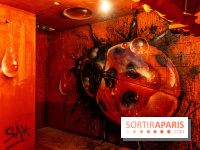 Colors Festival 2023, l'immense expo street art - Sax