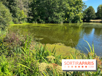 Fête de la Nature à Issy-les-Moulineaux, le programme gratuit