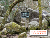 Nuit des Forêts à Fontainebleau 2023 entre art, nature et découvertes gratuites