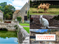 Janvry, le charmant village au Parc animalier gratuit et animations