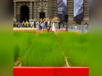 LINcroyable récolte