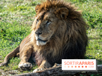 Halloween aux Parcs Zoologiques de Lumigny : Une Aventure Mystérieuse vous attend !